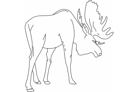 Coloriage Elan 01 – 10doigts.fr