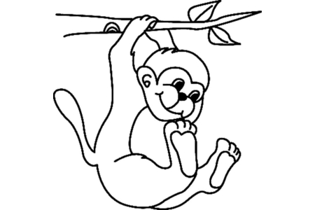 Coloriage Singe04 – 10doigts.fr