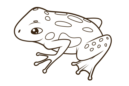 Coloriage Grenouille09 – 10doigts.fr