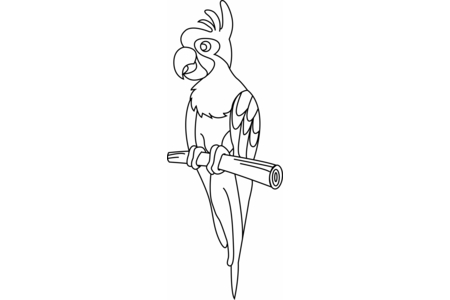 Coloriage Perroquet01 – 10doigts.fr