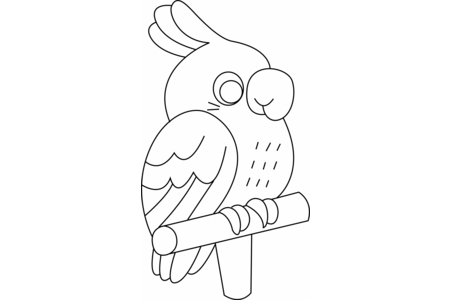 Coloriage Perruche01 – 10doigts.fr