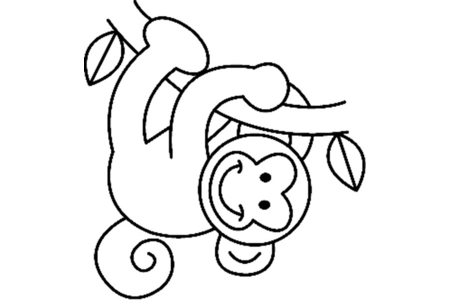 Coloriage Singe 08 – 10doigts.fr