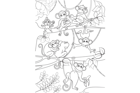 Coloriage Singe 12 – 10doigts.fr