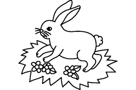 Coloriage Lapin n17 – 10doigts.fr