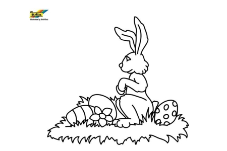 Coloriage Lapin n56 – 10doigts.fr