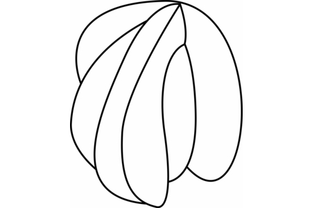 Coloriage Coquillage 01 – 10doigts.fr