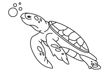 Coloriage Tortue 01 – 10doigts.fr