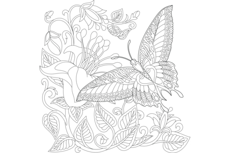 Coloriage Animaux-volants20 – 10doigts.fr
