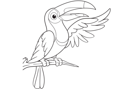 Coloriage Animaux-volants24 – 10doigts.fr