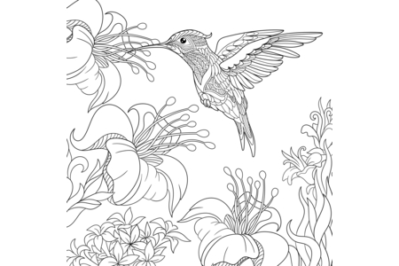 Coloriage Animaux-volants4 – 10doigts.fr