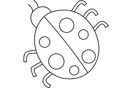 Coloriage Coccinelle 03 – 10doigts.fr
