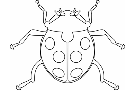 Coloriage Coccinelle 06 – 10doigts.fr