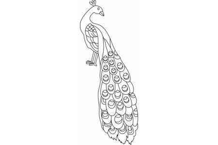 Coloriage Paon 01 – 10doigts.fr