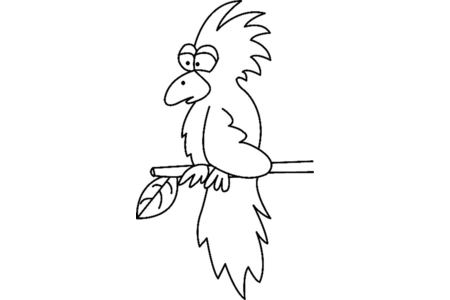 Coloriage Toucan 04 – 10doigts.fr