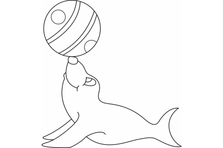Coloriage Phoque 01 – 10doigts.fr