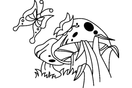 Coloriage Champignons 01 – 10doigts.fr