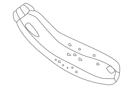Coloriage Courgette 01 – 10doigts.fr