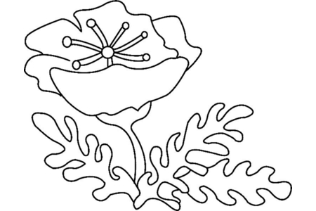 Coloriage Fleur 012 – 10doigts.fr