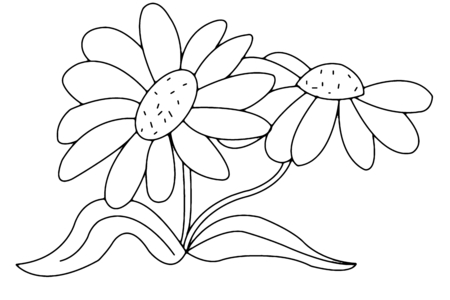 Coloriage Fleurs 011 – 10doigts.fr