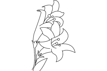 Coloriage Fleurs 023 – 10doigts.fr