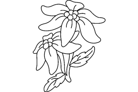 Coloriage Fleurs 033 – 10doigts.fr