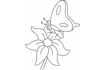 Coloriage Fleurs et papillons 08 – 10doigts.fr