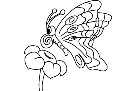 Coloriage Fleurs et papillons 10 – 10doigts.fr
