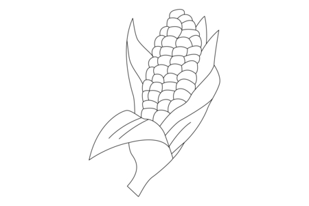 Coloriage Maïs 02 – 10doigts.fr