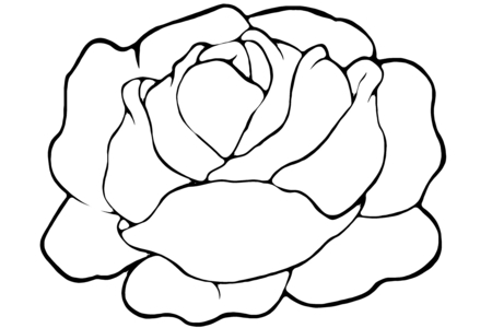 Coloriage Salade 01 – 10doigts.fr