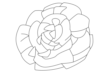 Coloriage Salade 02 – 10doigts.fr