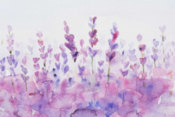 Boite aquarelle + pinceau - Peinture aquarelle – 10doigts.fr - 2