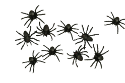 araignées noires 4 cm - Accessoires créatifs Halloween - 10doigts.fr