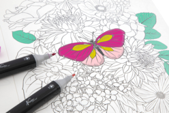 coloriage fleurs pour marqueurs alcool - Formes et dessins à colorier - 10doigts.fr - 2