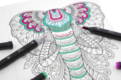 coloriages animaux spécial marqueurs alcoool - Formes et dessins à colorier - 10doigts.fr - 2