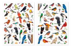 Gommettes "Oiseaux du Monde" - 3 sets (6 planches) - Gommettes Animaux - 10doigts.fr - 2