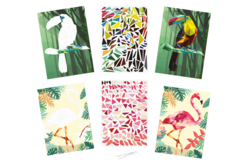 Kit de 2 tableaux gommettes au numéro : Toucan et Flamant rose - Kits créatifs gommettes - 10doigts.fr - 2