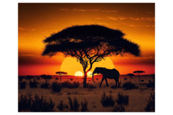 Kit diamond painting, savane, 40x50 cm - Diamond Painting : Kit complet - 10doigts.fr