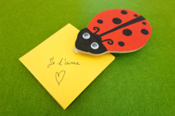 Kit Pense-Bête Coccinelle - Blocs notes - 10doigts.fr