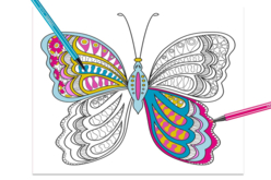 livre coloriage mandala papillon - Formes et dessins à colorier - 10doigts.fr - 2