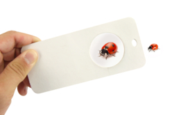 loupe d'observation - Kits animaux et nature - 10doigts.fr