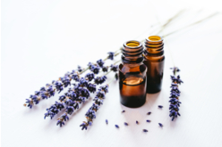 parfum - Colorants et senteurs - 10doigts.fr