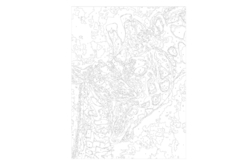 Peinture au numéro "Girafes"  - Peinture aux numéros - 10doigts.fr - 2