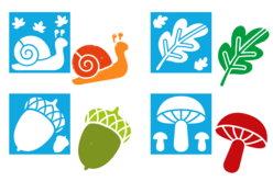 Pochoirs thème Automne, champignons, escargot, hérisson - Pochoirs nature - 10doigts.fr