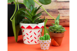 pots terre cuite cactus - Supports en céramique à décorer - 10doigts.fr