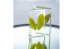 résine végétaux - Résine - Modelage et moulage - 10doigts.fr