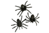 10 araignées noires - 4 cm - Accessoires créatifs Halloween – 10doigts.fr