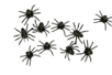 araignées noires 4 cm - Accessoires créatifs Halloween – 10doigts.fr