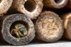 hotel insectes bois abeilles jardin - Nichoirs en bois – 10doigts.fr