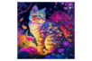 peinture diamant chat - Diamond Painting : Kit complet – 10doigts.fr