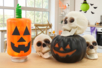 photophore citrouille pour halloween DIY - Activités manuelles Halloween – 10doigts.fr